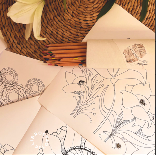 Kit Soy naturaleza BOX