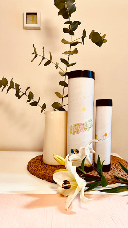 Naturaleza infinita box