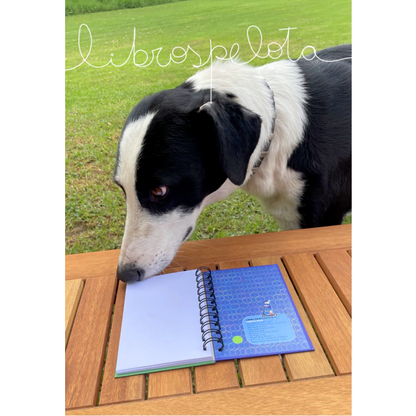 Libreta Rulo