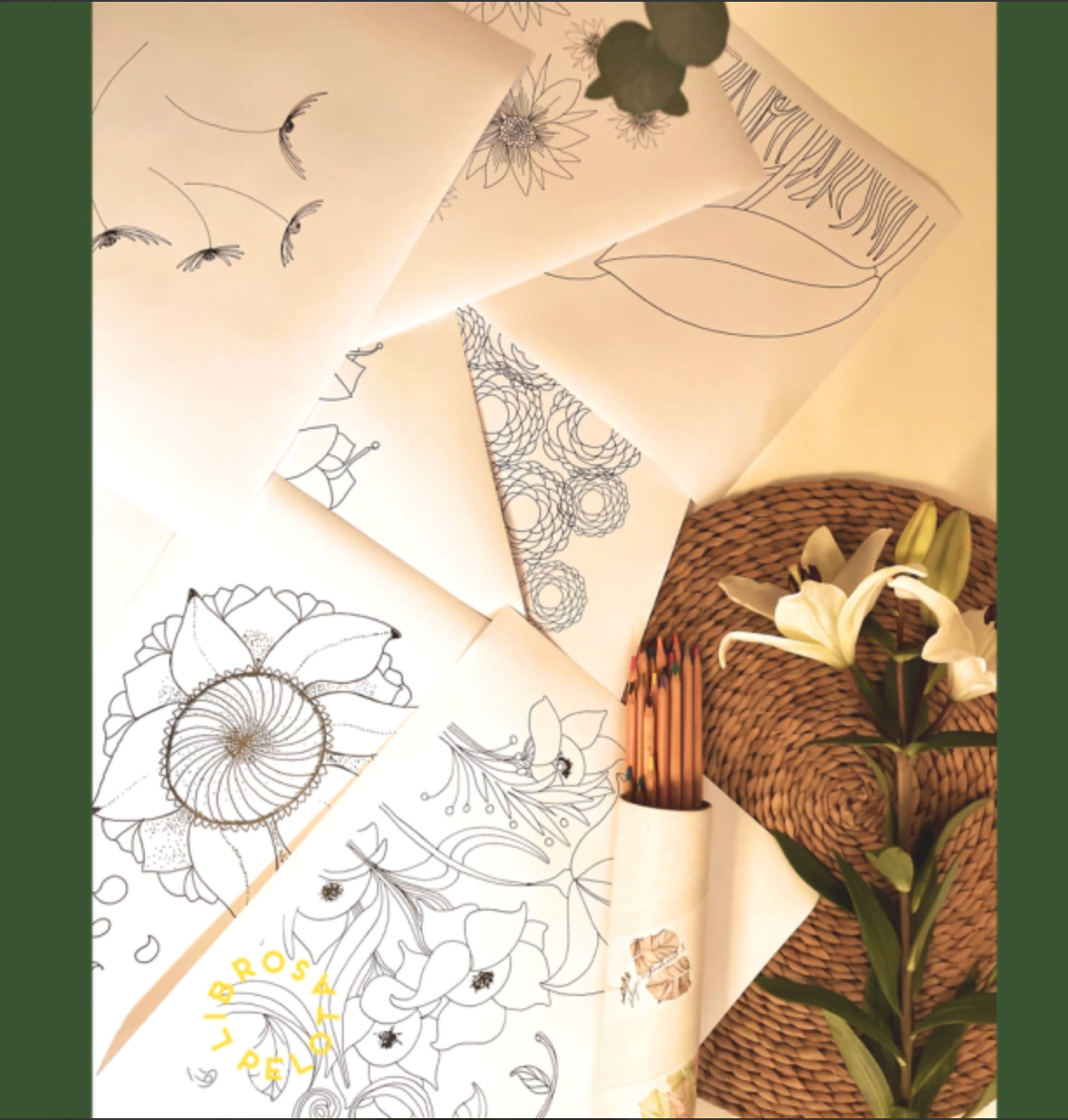 Kit Soy naturaleza BOX